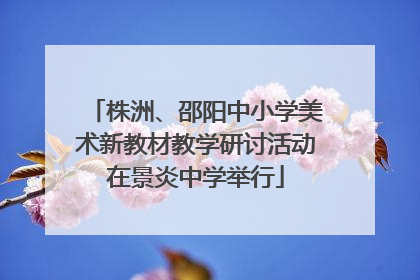 株洲、邵阳中小学美术新教材教学研讨活动在景炎中学举行
