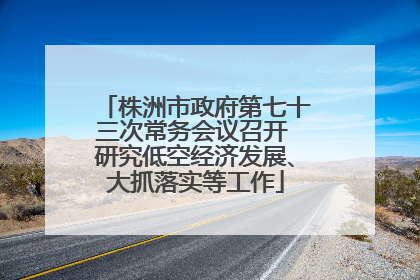 株洲市政府第七十三次常务会议召开 研究低空经济发展、大抓落实等工作