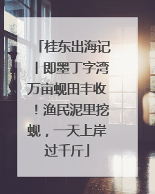 桂东出海记丨即墨丁字湾万亩蚬田丰收！渔民泥里挖蚬，一天上岸过千斤