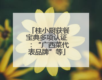 桂小厨获餐宝典多项认证：“广西菜代表品牌”等