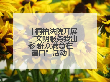 桐柏法院开展“文明服务我出彩 群众满意在窗口”活动