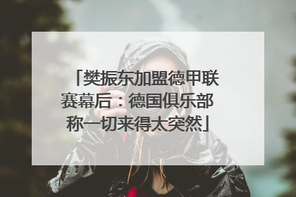 樊振东加盟德甲联赛幕后：德国俱乐部称一切来得太突然