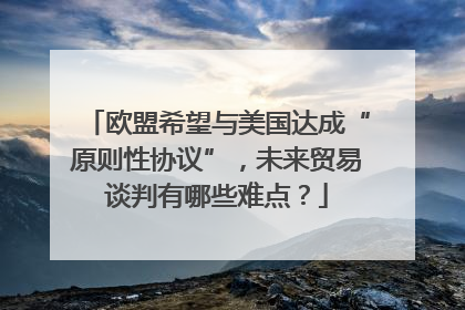 欧盟希望与美国达成“原则性协议”，未来贸易谈判有哪些难点？
