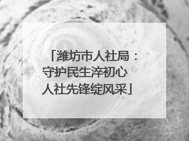 潍坊市人社局：守护民生淬初心 人社先锋绽风采