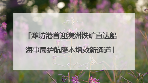 潍坊港首迎澳洲铁矿直达船 海事局护航降本增效新通道