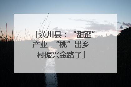 潢川县：“甜蜜”产业  “桃”出乡村振兴金路子
