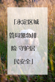 永定区城管局紧急排险 守护居民安全