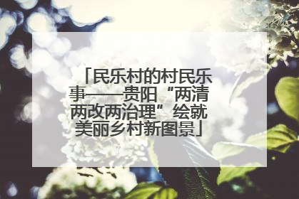 民乐村的村民乐事——贵阳“两清两改两治理”绘就美丽乡村新图景