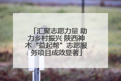 汇聚志愿力量 助力乡村振兴 陕西神木“益起帮”志愿服务项目成效显著