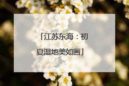 江苏东海：初夏湿地美如画
