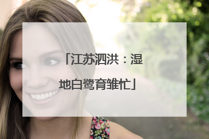 江苏泗洪：湿地白鹭育雏忙