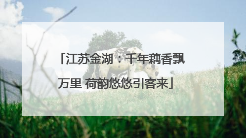 江苏金湖：千年藕香飘万里 荷韵悠悠引客来