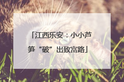 江西乐安：小小芦笋“破”出致富路