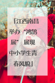 江西南昌举办“鸿鹄展” 展现中小学生青春风貌