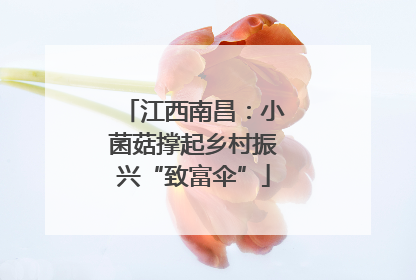 江西南昌：小菌菇撑起乡村振兴“致富伞”