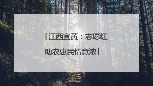 江西宜黄：志愿红助农惠民情意浓