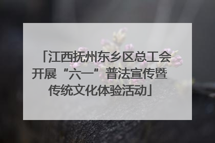 江西抚州东乡区总工会开展“六一”普法宣传暨传统文化体验活动