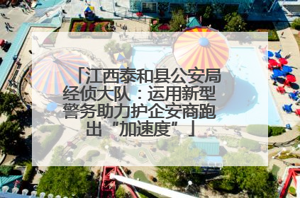 江西泰和县公安局经侦大队：运用新型警务助力护企安商跑出“加速度”