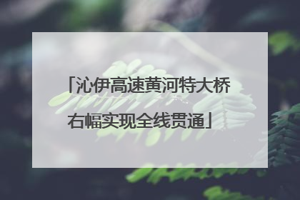 沁伊高速黄河特大桥右幅实现全线贯通
