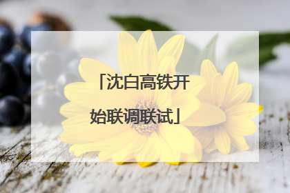 沈白高铁开始联调联试
