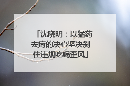沈晓明：以猛药去疴的决心坚决刹住违规吃喝歪风