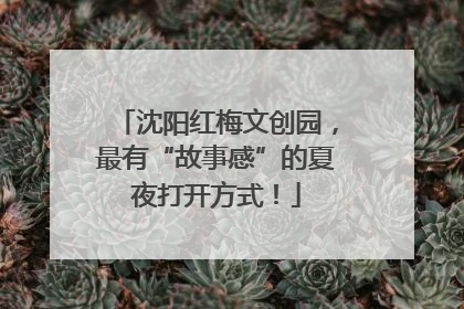 沈阳红梅文创园，最有“故事感”的夏夜打开方式！