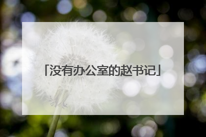 没有办公室的赵书记