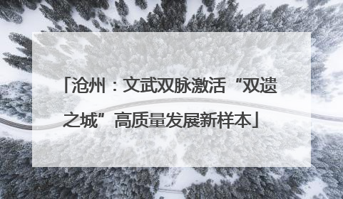 沧州：文武双脉激活“双遗之城”高质量发展新样本