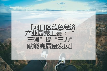 河口区蓝色经济产业园党工委：“三强”提“三力”赋能高质量发展
