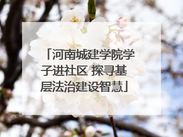 河南城建学院学子进社区 探寻基层法治建设智慧