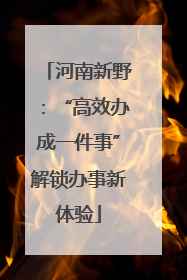 河南新野：“高效办成一件事”解锁办事新体验