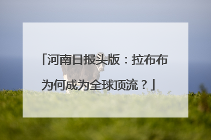 河南日报头版：拉布布为何成为全球顶流？