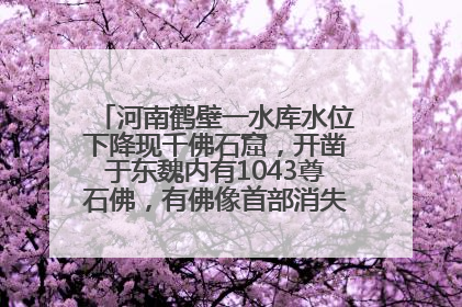 河南鹤壁一水库水位下降现千佛石窟，开凿于东魏内有1043尊石佛，有佛像首部消失，水库管理方回应