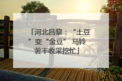 河北昌黎：“土豆”变“金豆” 马铃薯丰收采挖忙