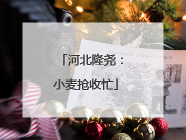 河北隆尧：小麦抢收忙