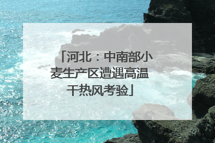 河北：中南部小麦生产区遭遇高温干热风考验