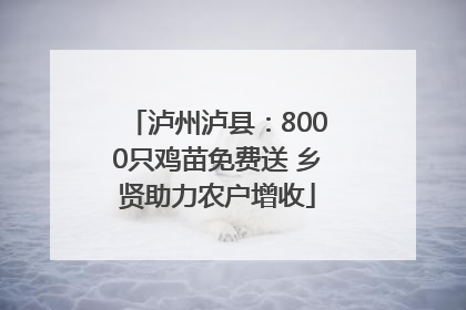 泸州泸县：8000只鸡苗免费送 乡贤助力农户增收