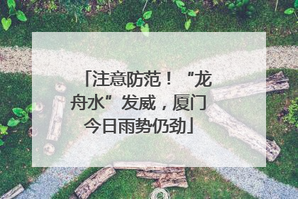 注意防范！“龙舟水”发威，厦门今日雨势仍劲