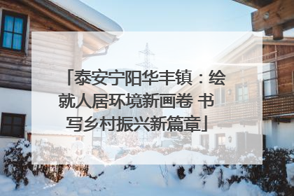 泰安宁阳华丰镇：绘就人居环境新画卷 书写乡村振兴新篇章
