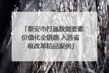 泰安市打通数据要素价值化全链路 入选省级改革精品案例