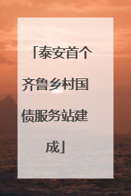 泰安首个齐鲁乡村国债服务站建成