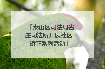 泰山区司法局省庄司法所开展社区矫正系列活动