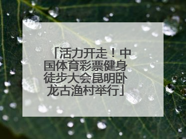 活力开走！中国体育彩票健身徒步大会昆明卧龙古渔村举行