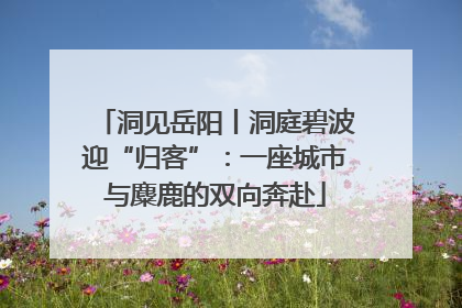 洞见岳阳丨洞庭碧波迎“归客”：一座城市与麋鹿的双向奔赴
