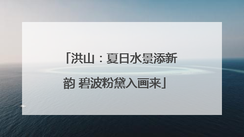 洪山：夏日水景添新韵 碧波粉黛入画来