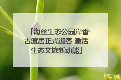 海丝生态公园岸香·古渡居正式迎客 激活生态文旅新动能