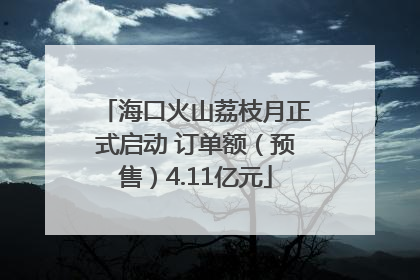 海口火山荔枝月正式启动 订单额（预售）4.11亿元