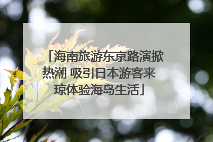 海南旅游东京路演掀热潮 吸引日本游客来琼体验海岛生活