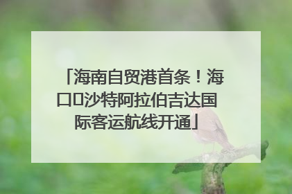 海南自贸港首条！海口⇌沙特阿拉伯吉达国际客运航线开通