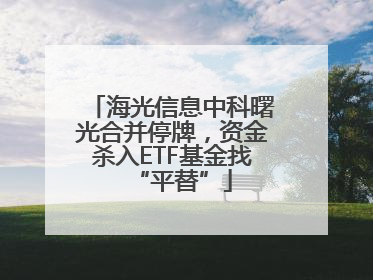 海光信息中科曙光合并停牌，资金杀入ETF基金找“平替”